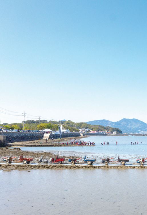 남해군 3월 풍경